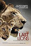 Los últimos leones